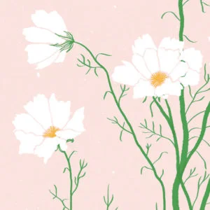 Affiche "Bouquet Sauvage Cosmos Blanc" – Image 3